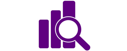 Norfolk Insight Logo